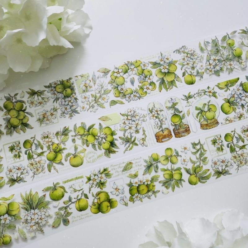 Krisna.room ♡ BCJ studio- Chu kì 100cm cuộn băng dán PET tape quả đào xanh