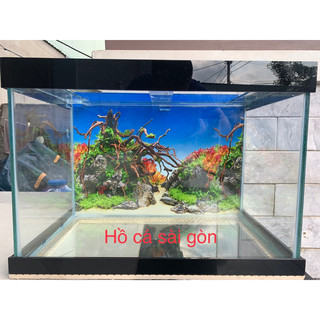 Hồ cá, bể kính kích thước 50x30x35 DRC
