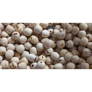 Hạt sen khô 1 kg ( giá sỉ )