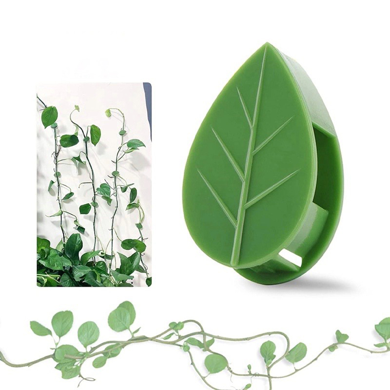 Kẹp thực vật cho cây leo tường