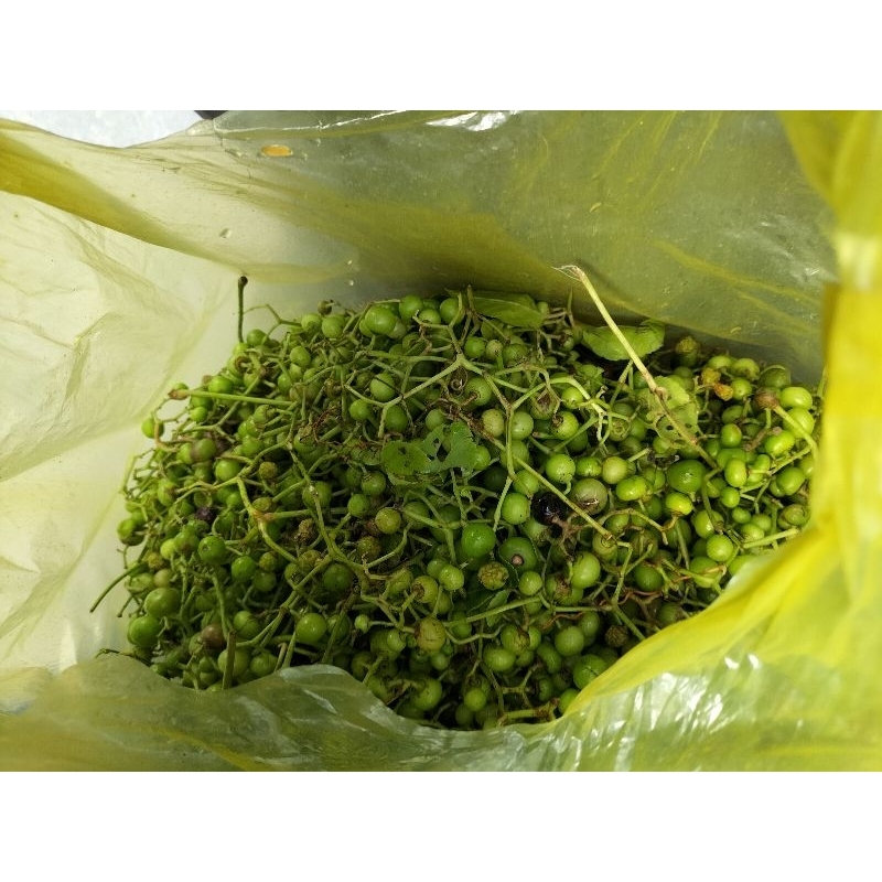 trái giác sống 500g