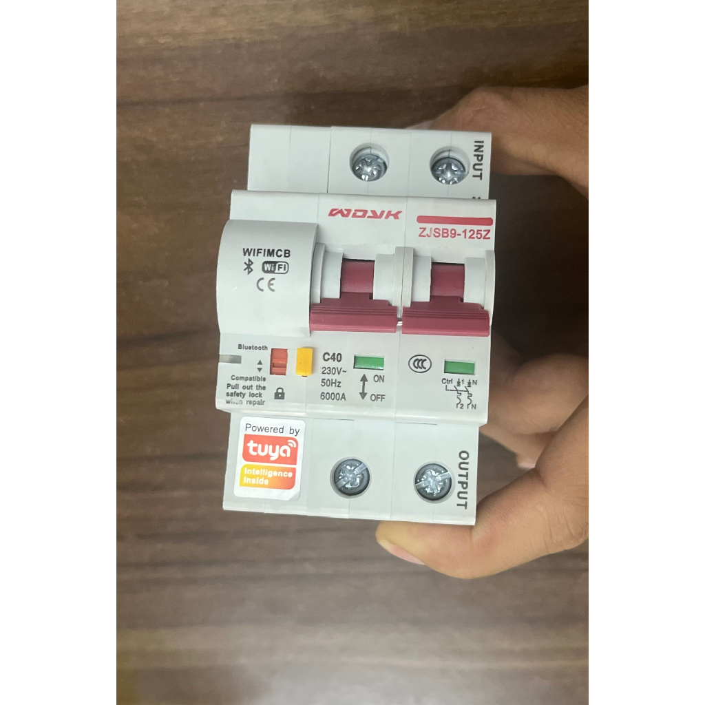 Aptomat thông minh Wifi Tuya 2P