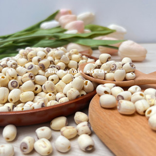 Hạt sen khô sống - làm sữa hoặc món hầm (có xuất hóa đơn công ty đầy đủ)