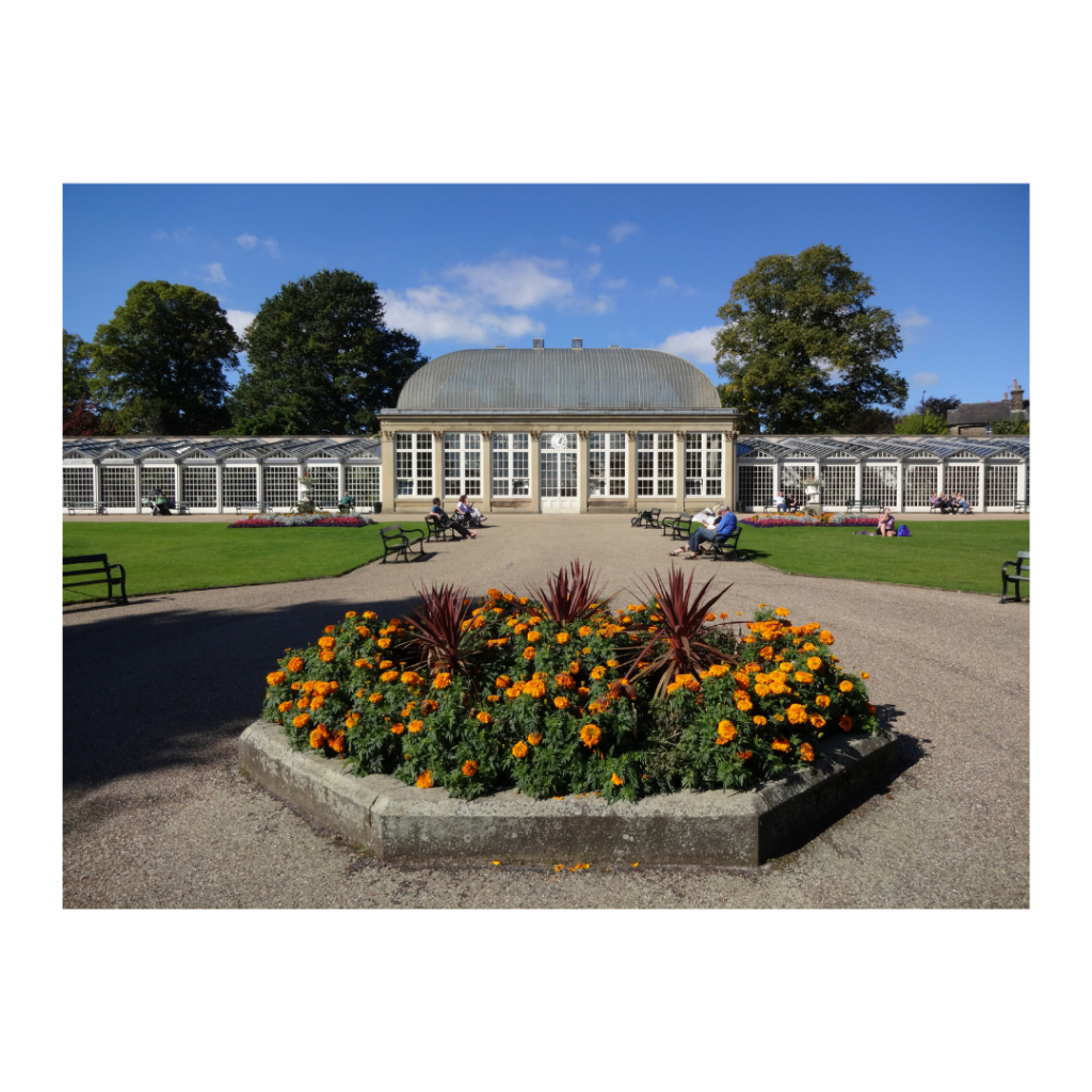 Máy ảnh Sony Cybershot DSC-QX10