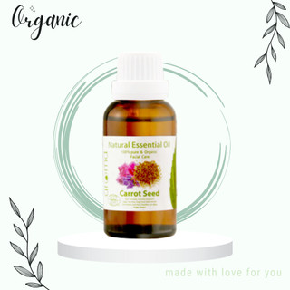 Tinh dầu chống nắng da mặt hạt Cà rốt - Aroma Carrot Seed Facial Oil