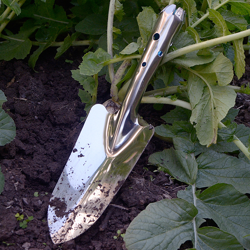 Xẻng làm vườn inox