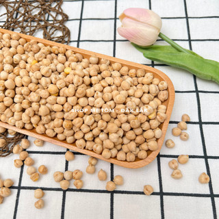 HẠT ĐẬU GÀ (HẠT SỐNG)