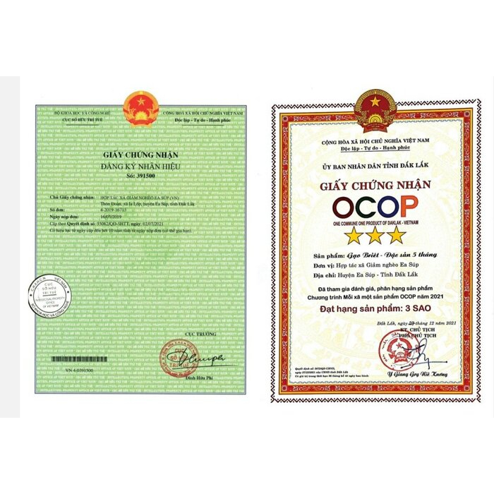 Bún Gạo Lứt Tím Than - Bún Gạo Đen Briêt  - 500g