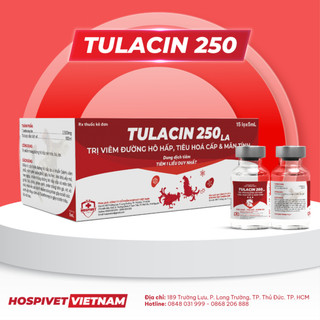 Tulacin 250 ho hen, khò khè, vẩy mỏ, hen ngáp, xổ mũi, ỉa ra máu gà đá