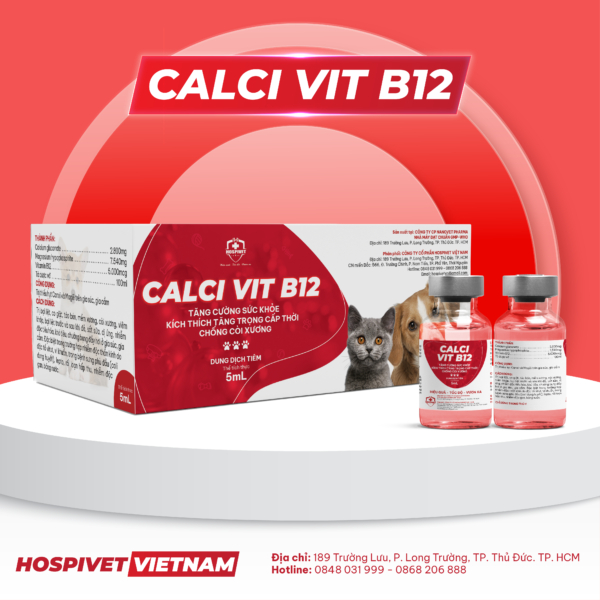 CALCI VIT B12 CHÓ MÈO