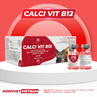 Calci vit b12 chó mèo