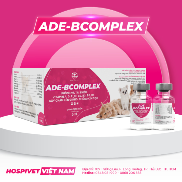 ADE BCOMPLEX CHÓ MÈO