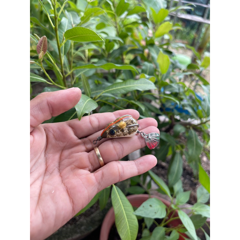 Nhái hơi LƯỠI THÉP KHÔNG RỈ 3.5CM MÀU NHÁI ,VV35