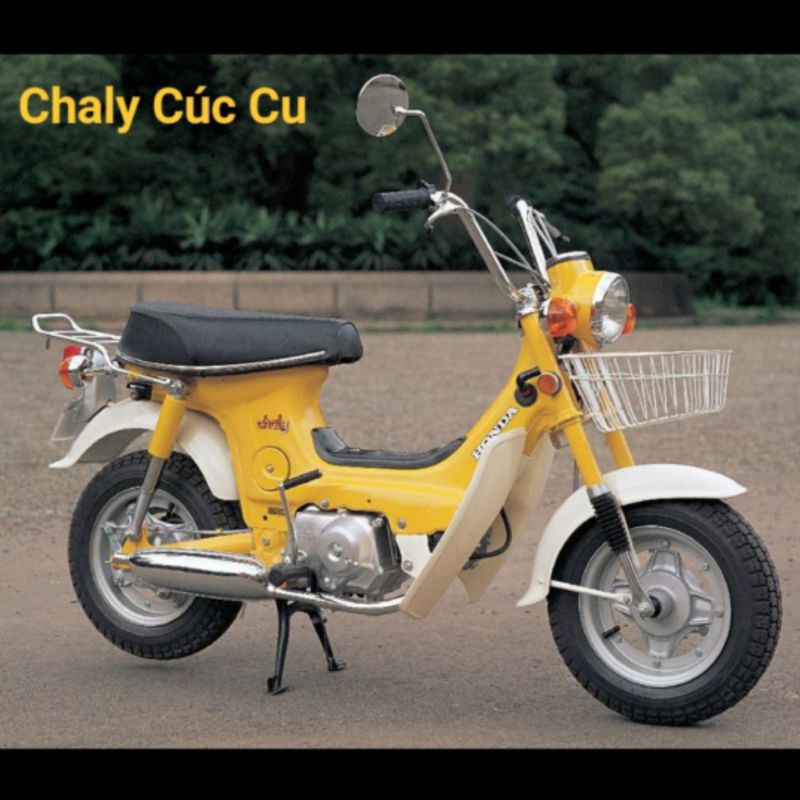 Mắt mèo phản quang cực gắt, cực đẹp Honda CD CL 70 90 125 CG125 CB125 Suzuki GD110 GN125 Chaly50