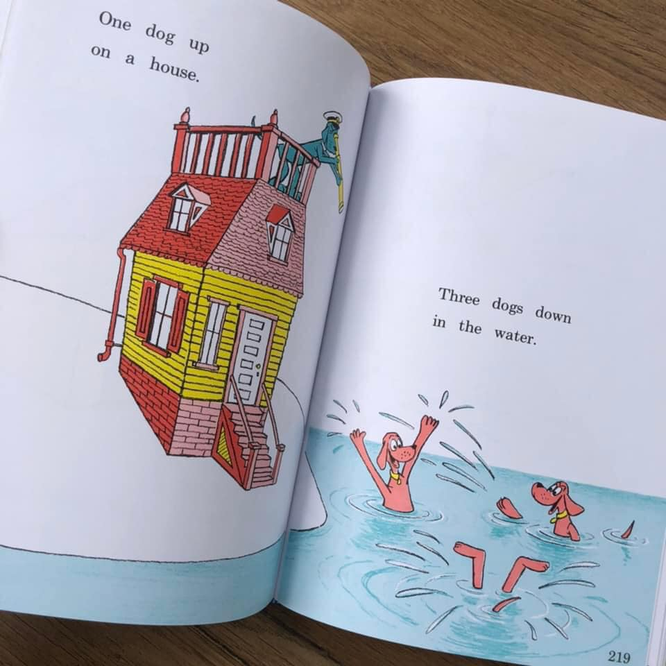 The Big Book Of Beginner - 8q | Nhập Khẩu