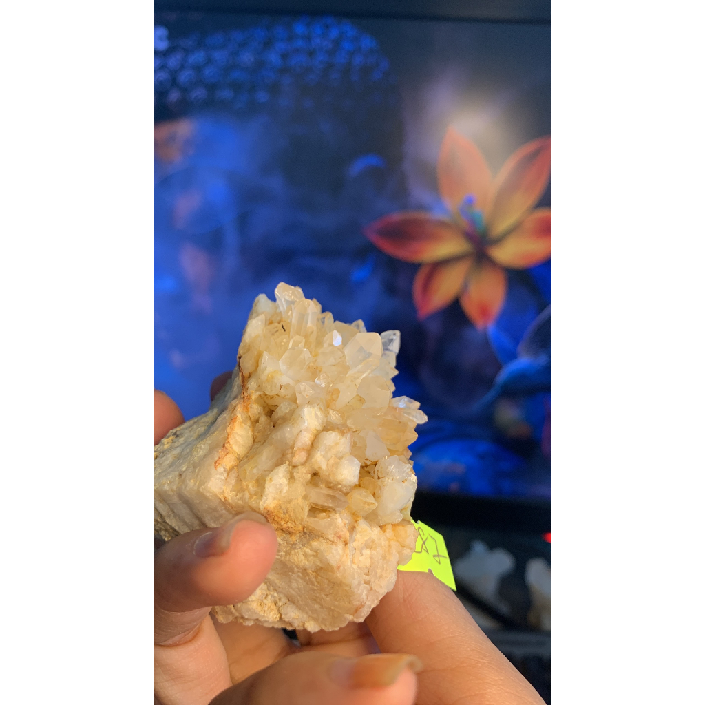 Ổ Hoa đá Thạch Anh vàng Citrine tự nhiên thiên nhiên lấp lánh tinh thể phong thủy vũ trụ năng lượng cao mã số 287