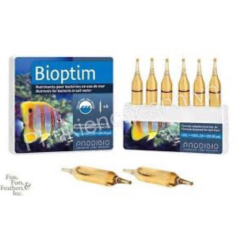 Vi sinh tươi Biodigest, Bioptim, phụ kiện thủy sinh cá cảnh nước mặn
