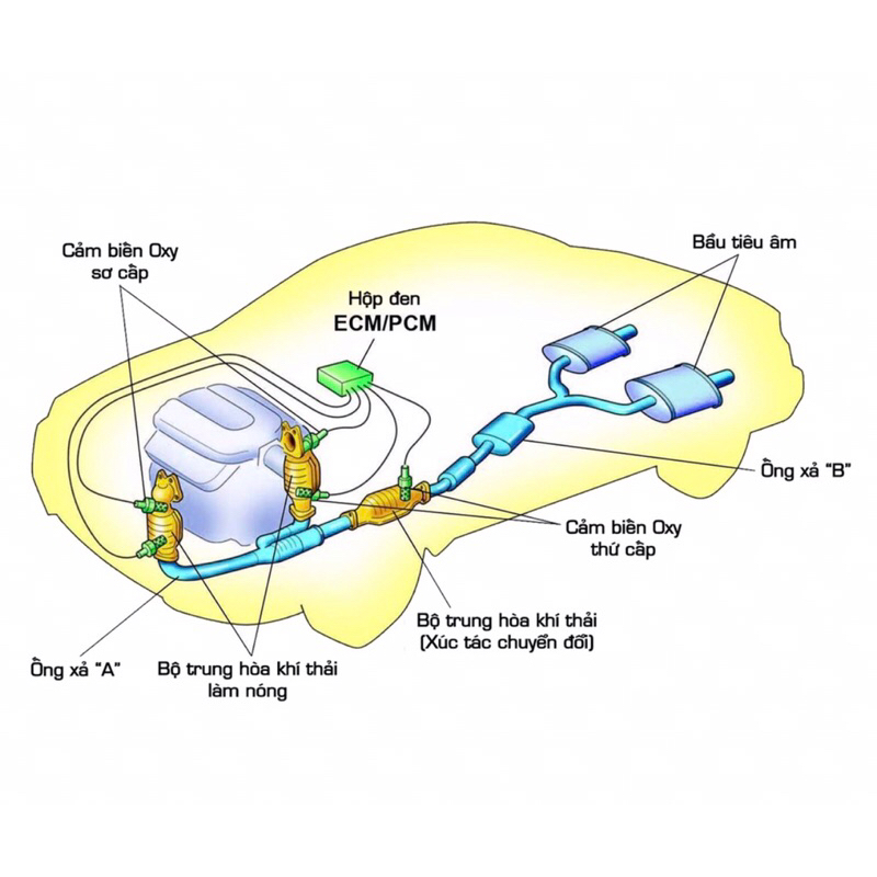 Bluechem- Oxicat Vệ sinh cảm biến oxy ô tô, ngăn ngữa báo lỗi động cơ