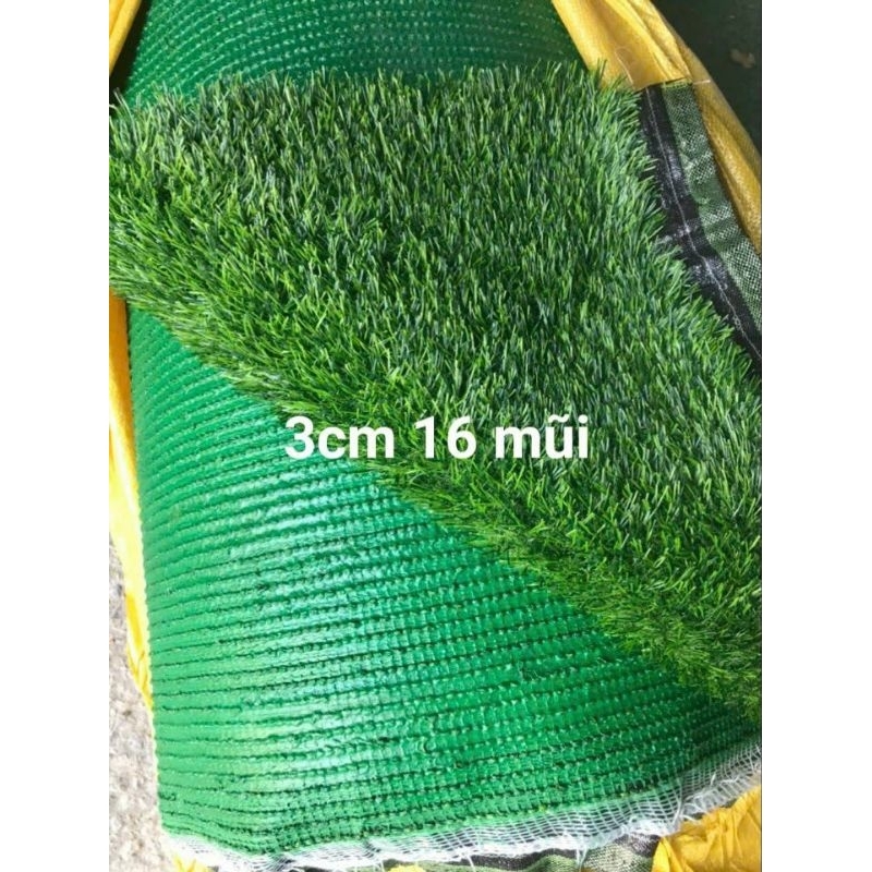 Thảm cỏ nhân tạo 3cm 16 mũi đế xanh