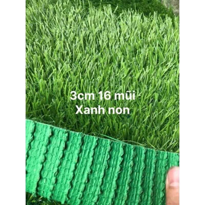 Thảm cỏ nhân tạo 3cm 16 mũi đế xanh