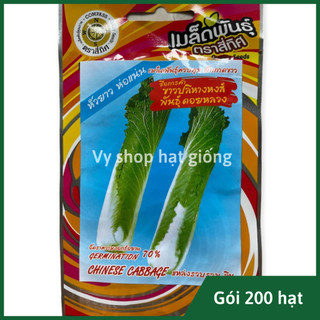 Hạt giống cải thảo hỏa tiễn Thái Lan gói 200 hạt