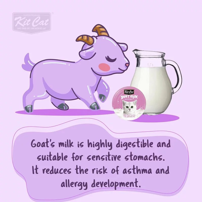 Pate sữa dê KitCat Goat Milk 70g cho mèo - Thức ăn dinh dưỡng thú cưng Gogi Meow Mart