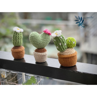 Chậu hoa xương rồng bằng len để bàn xinh xắn
