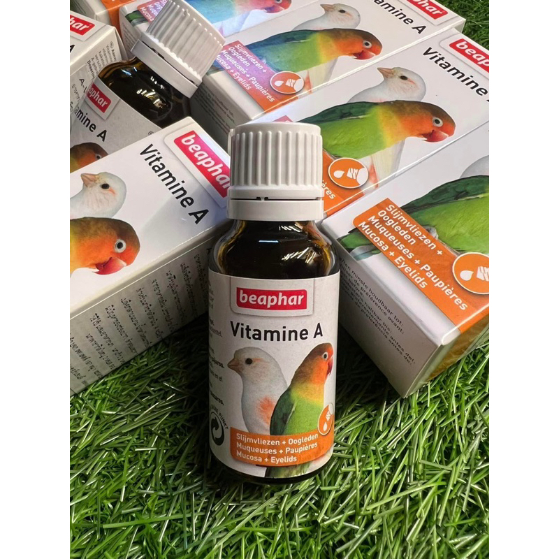 VITAMIN E A dành cho chim vẹt cảnh