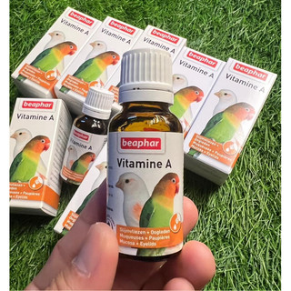 VITAMIN E A dành cho chim vẹt cảnh
