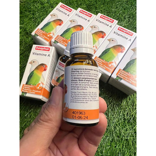 VITAMIN E A dành cho chim vẹt cảnh