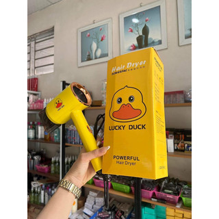 máy sấy vịt vàng