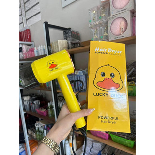máy sấy vịt vàng