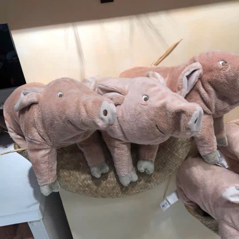 Heo giống thật IKEA