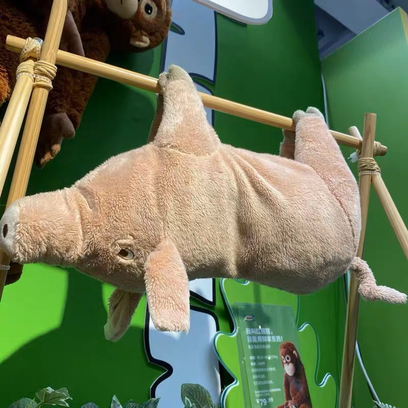 Heo giống thật IKEA