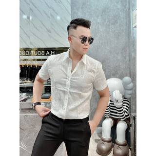 Sơ mi lụa gấm tuyết cao cấp, sơ mi cộc tay