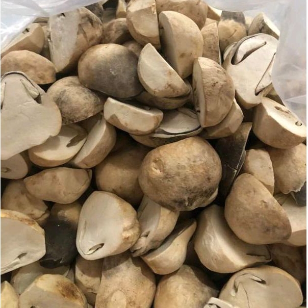 Nấm Rơm Búp Chẻ Đôi Sấy Thăng Hoa 250g