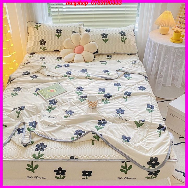 Chiếu điều hòa cao su non kèm chăn, chiếu cao su non bọc chun đệm cao đến 30cm kèm chăn điều hòa cùng mầu