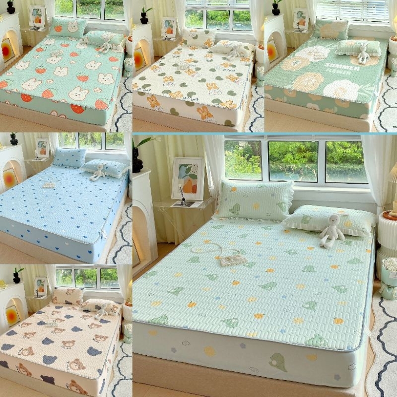 Chiếu điều hòa cao su non bo chun gối viền bèo