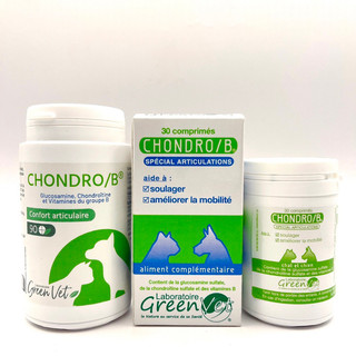 Glucosamine & Chondro B cho chó mèo Greenvet