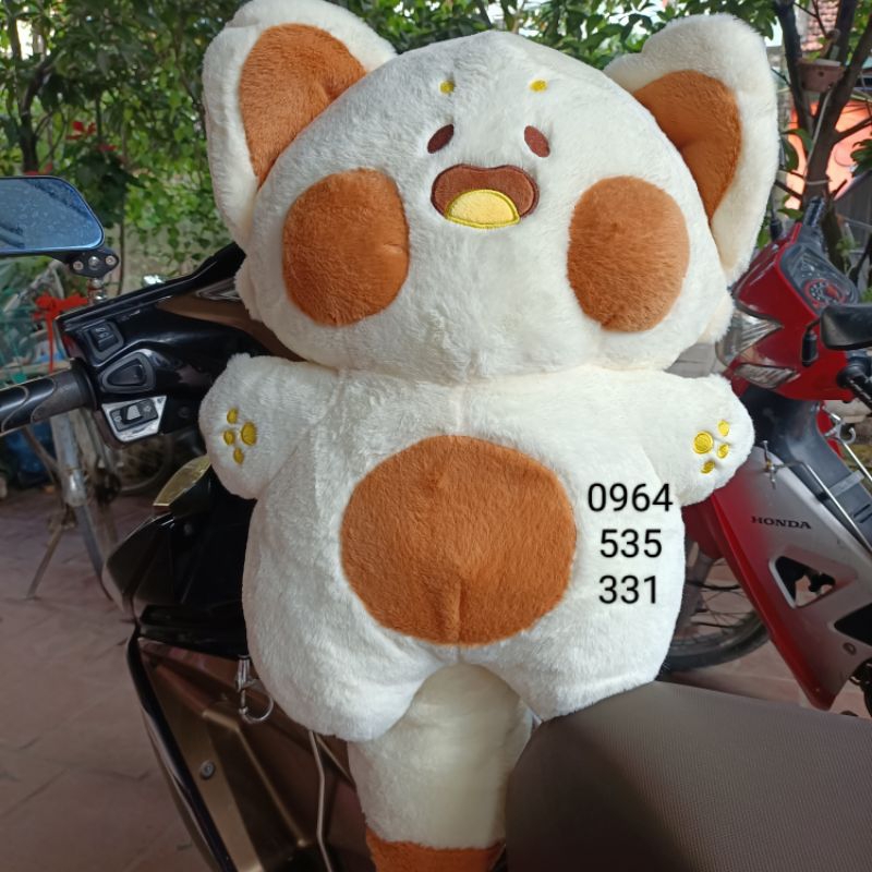 ❤️ Gấu -mèo du du ❤️