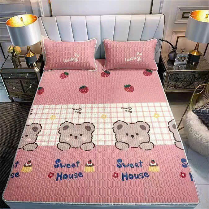 Chiếu Điều Hòa Cao Su 3D Mát Lạnh Màu Hè - Hàng Loại 1 Nhập Khẩu Tặng Kèm Đôi Gối