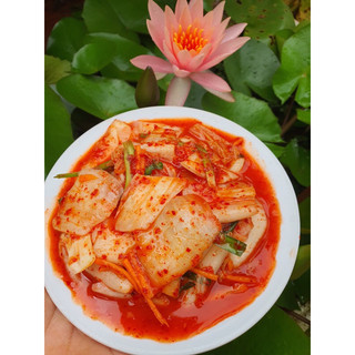 Kim Chi Cải Thảo Hàn Quốc - Giòn Dai- Vị Chua Cay Tự Nhiên 1kg - Chỉ Nhận Đơn Miền Bắc Khôi Hân Food