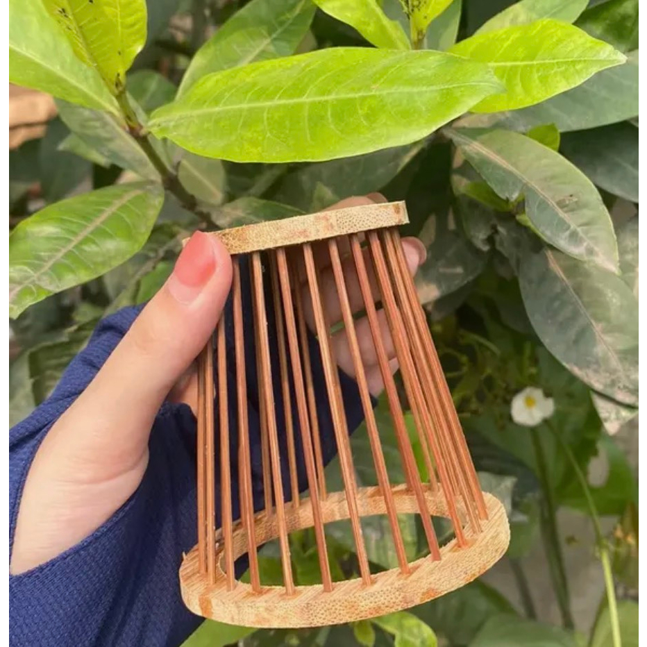 Chống ngoái, chống lộn cho chim chào mào