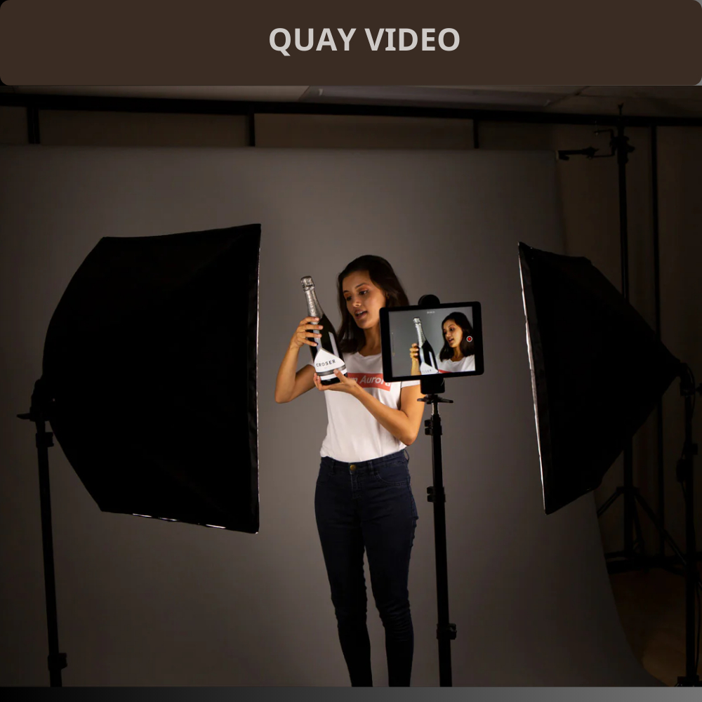 Softbox đèn studio chụp ảnh hỗ trợ sáng quay phim livestream bán hàng trực tuyến makeup chuyên nghiệp SB02