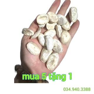 Hạt sang, sành chữa đau dạ dày, đi ngoài, phân lỏng, khó tiêu