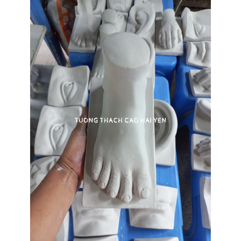 Khối Thạch Cao Bàn Chân