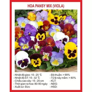 Hạt giống hoa fansy mix- hoa viola 100h