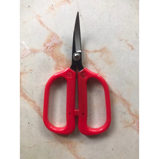 kéo mũi cong đỏ giá 1 cây đỏ 12cm