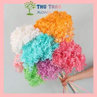  Cẩm Tú Cầu - Hoa khô trang trí resin decor nhà cửa quà tặng handmade vintage lọ hoa để bàn 