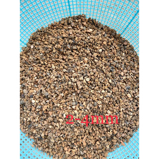 sỉ than mini rãi mặt sen đá, xương rồng